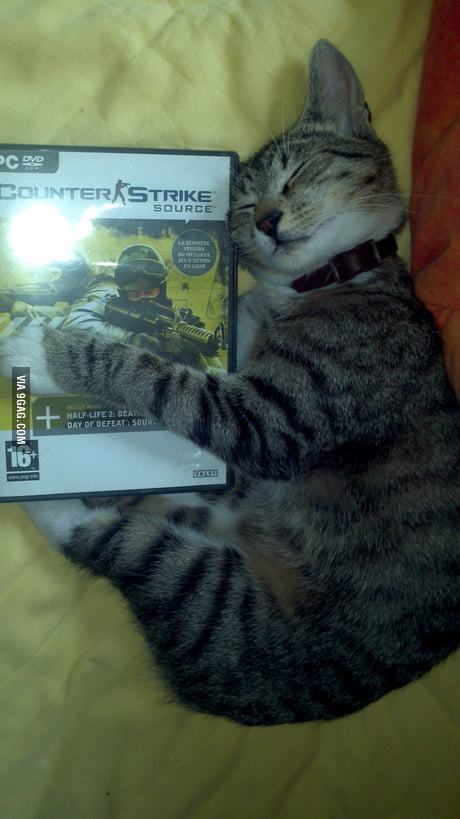 lol cat radio icon [Counter-Strike: Source] [Mods]