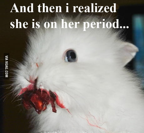 Poor Bunny