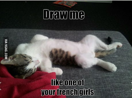 Titanic Cat - Draw me.... - 9GAG