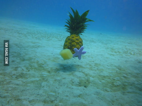 Who lives in a pineapple under the sea