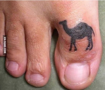 The real camel toe! - 9GAG