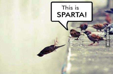 This Is Sparta Bird Meme | Hardcover Journal
