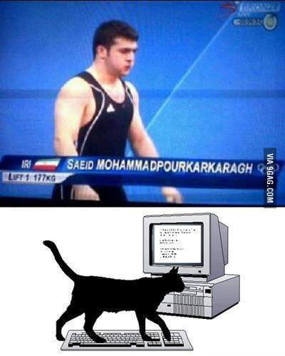 Looks like a cat walked on a keyboard - 9GAG