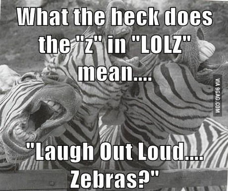 What the heck does the z in lolz mean,  Laugh out loud. zebras ?