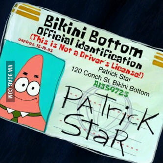 Meanwhile In Patrick Driving License 9gag