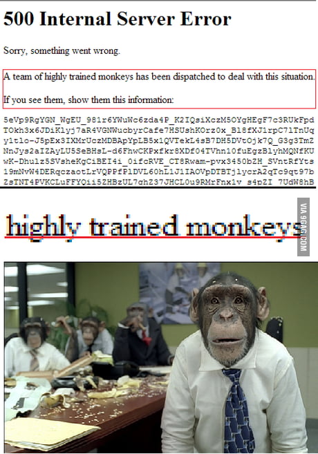 Highly trained monkeys 9GAG