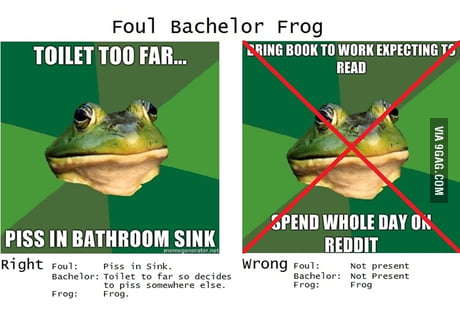 Foul Bachelor Frog memes