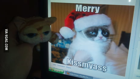 grumpy cat ceramic doll grumpycat gift 9gag decorative meme