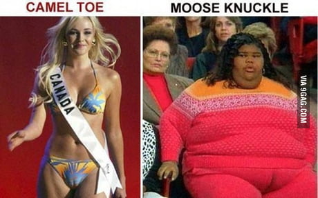 CAMEL TOE or MOOSE KNUCKLE Classic Thong