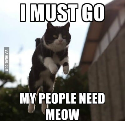 I Must Go My People Need Me Ow 9gag