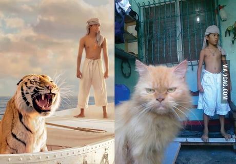 Life Of Pi Expectations Vs Reality 9gag