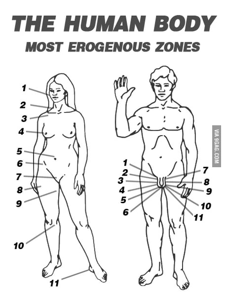 Erotic Zone