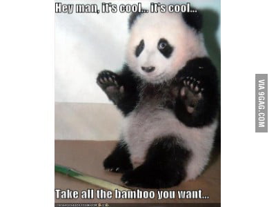 Bamboo man? - 9GAG