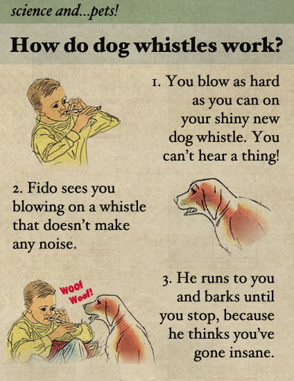 How Do Dog Whistles Work 9gag