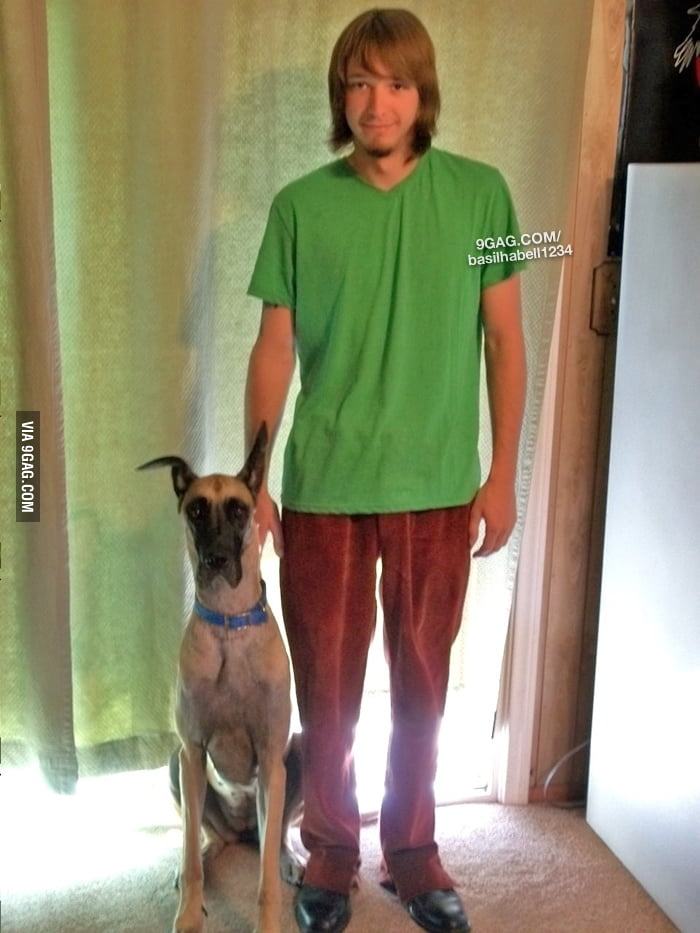 Real life Shaggy and Scooby Doo.