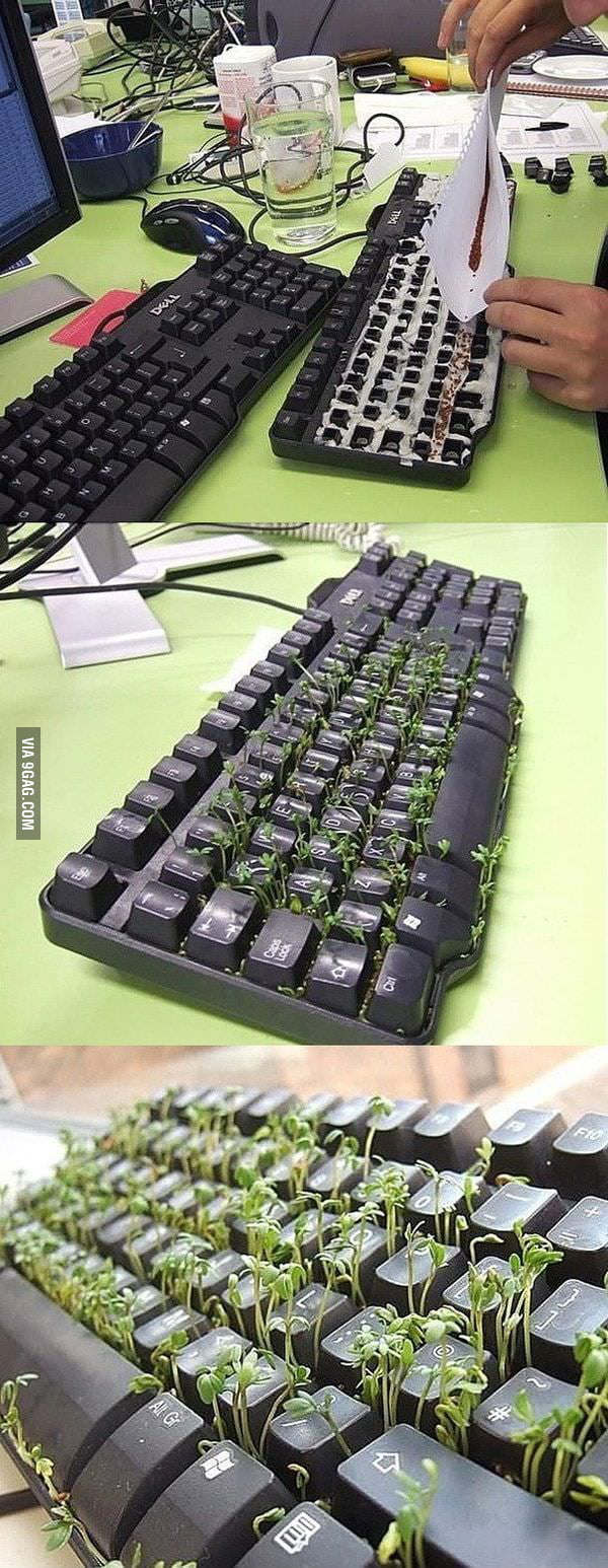 Epic Trolling - 9GAG