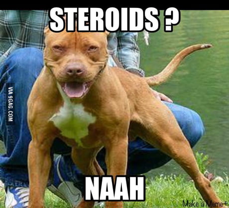 10 Biggest steroids definition biology Mistakes You Can Easily Avoid