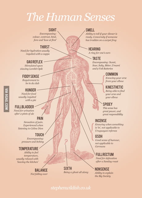 All Of The Human Senses 9gag
