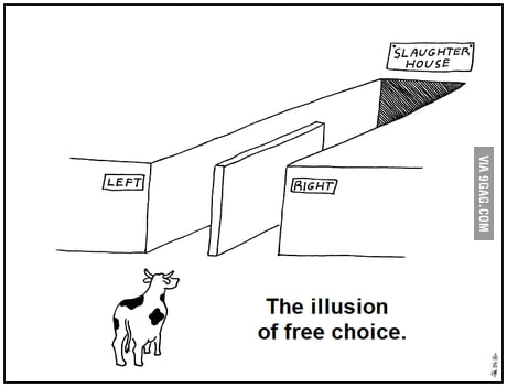pics The Illusion Of Free Choice Comic the illusion of free choice 9gag