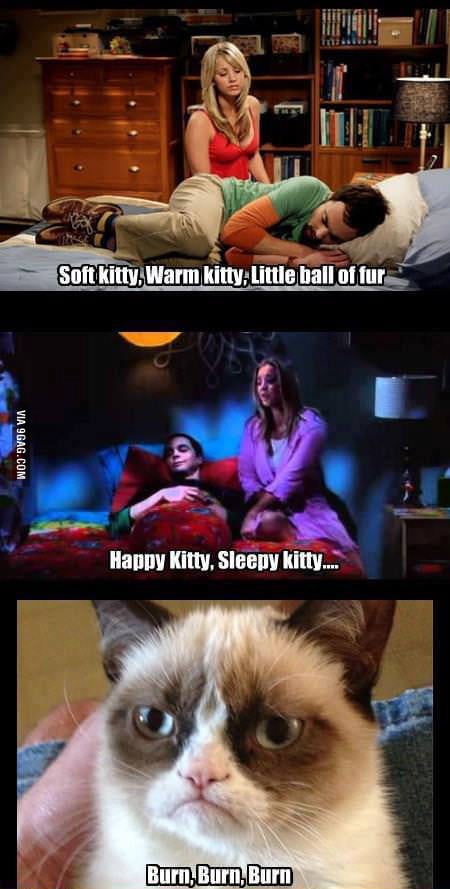 grumpy kitty song