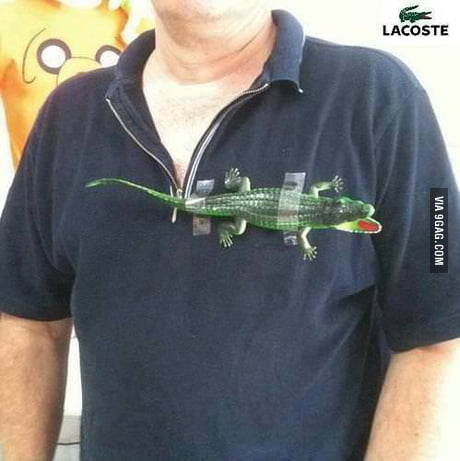 lacoste legit logo