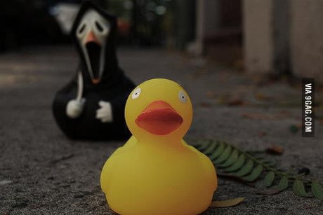 rubber duck scream