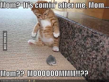 Mmmooommm 9gag