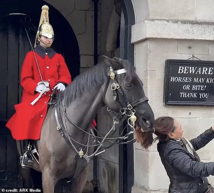 BEWARE, Horses may bite. 9GAG