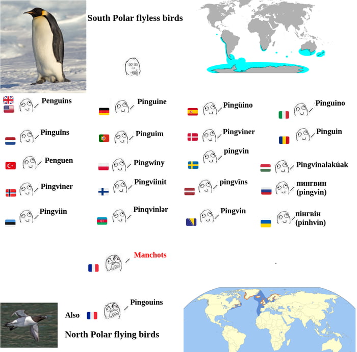 penguins-in-other-languages-meme-9gag