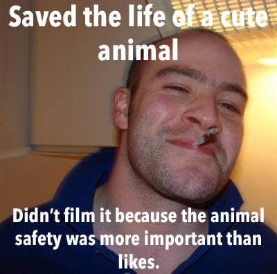 Please just save the animal