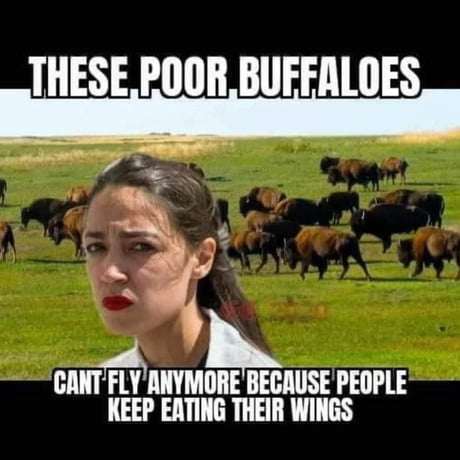 Buffalo are delicious -