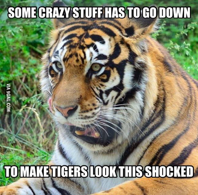 Looks like he saw a ghost! - 9GAG