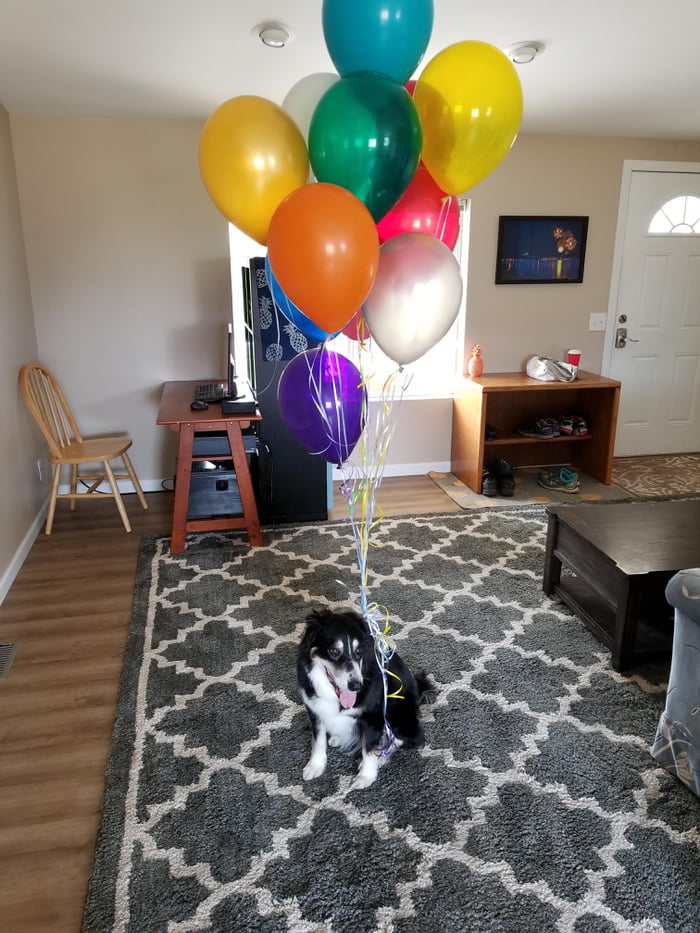 Happy birthday to me and my best friend!