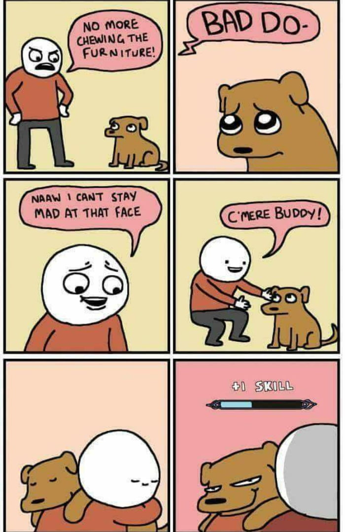 I am not lying everytime...