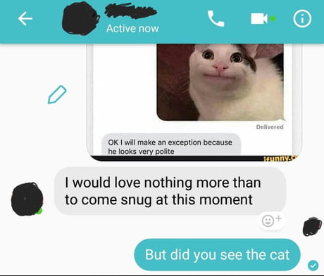 Meme polite cat