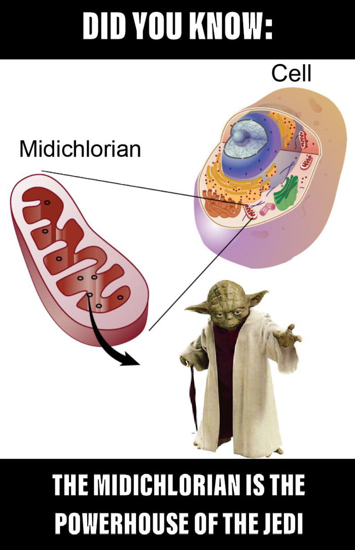 the-mitochondria-is-the-powerhouse-of-the-cell-9gag