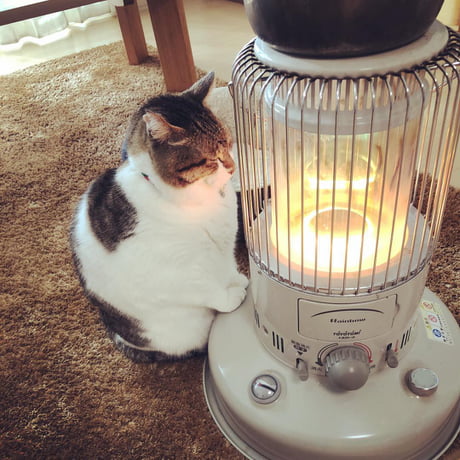 heater for cat