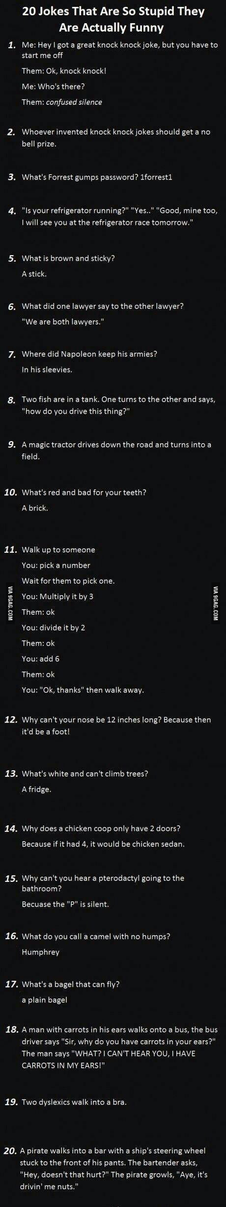 Jokes That Are So Stupid They Are Actually Funny 9gag