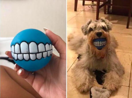 teeth ball
