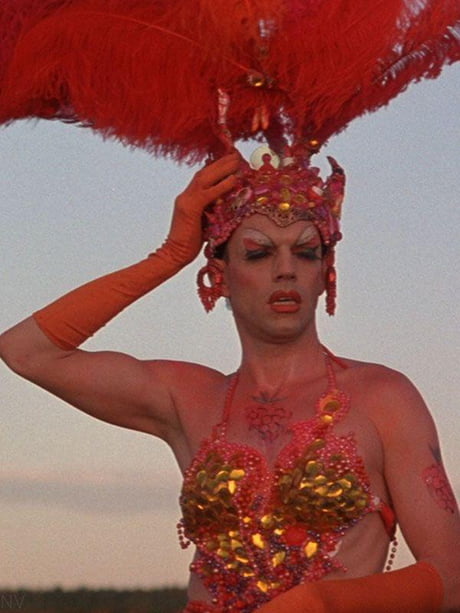 The Adventures of Priscilla: Queen of the Desert ***** (1994, Hugo