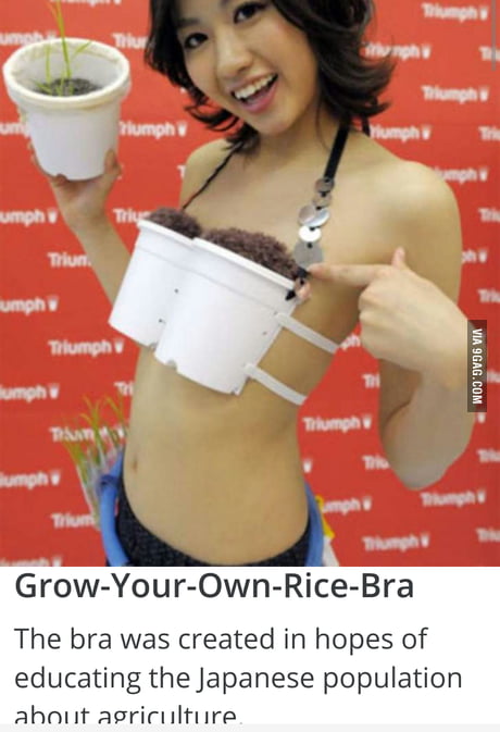 Grow-Your-Own-Rice bra - Japan Today