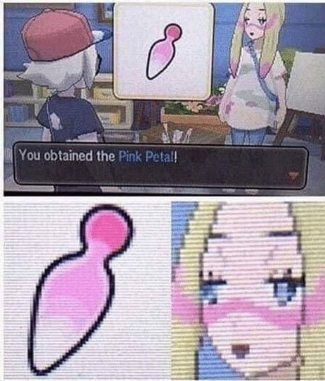 Pink petal or...butt plug? - 9GAG
