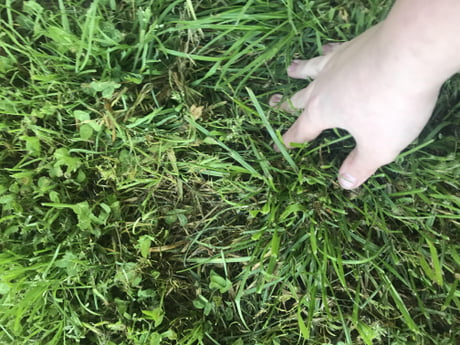 Touch grass - 9GAG