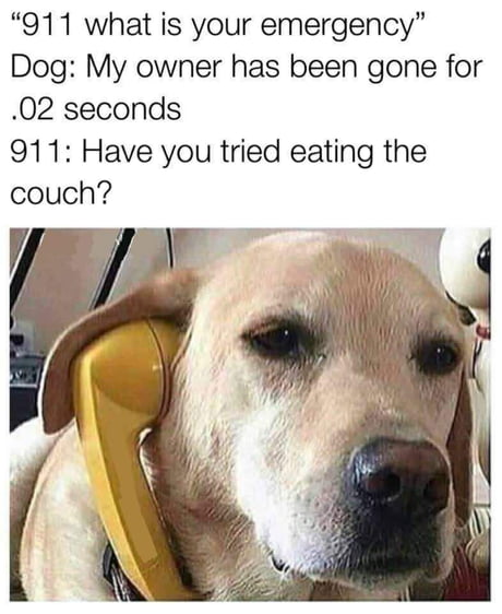 Have you?