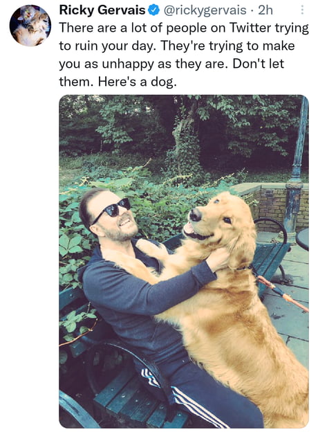Ricky Gervais With A Dog On Twitter 9gag