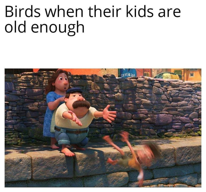 Yeet the child 9gag