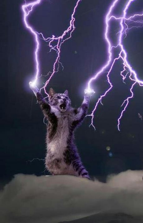 The Almighty Lightning Cat - 9GAG