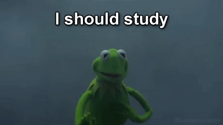 A life without memes is a life wasted .