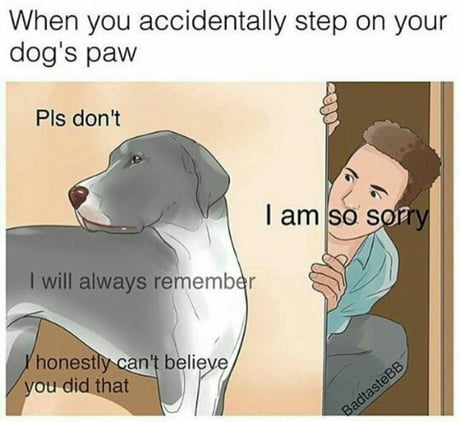 When You Accidentally Step On Your Dog S Paw 9gag