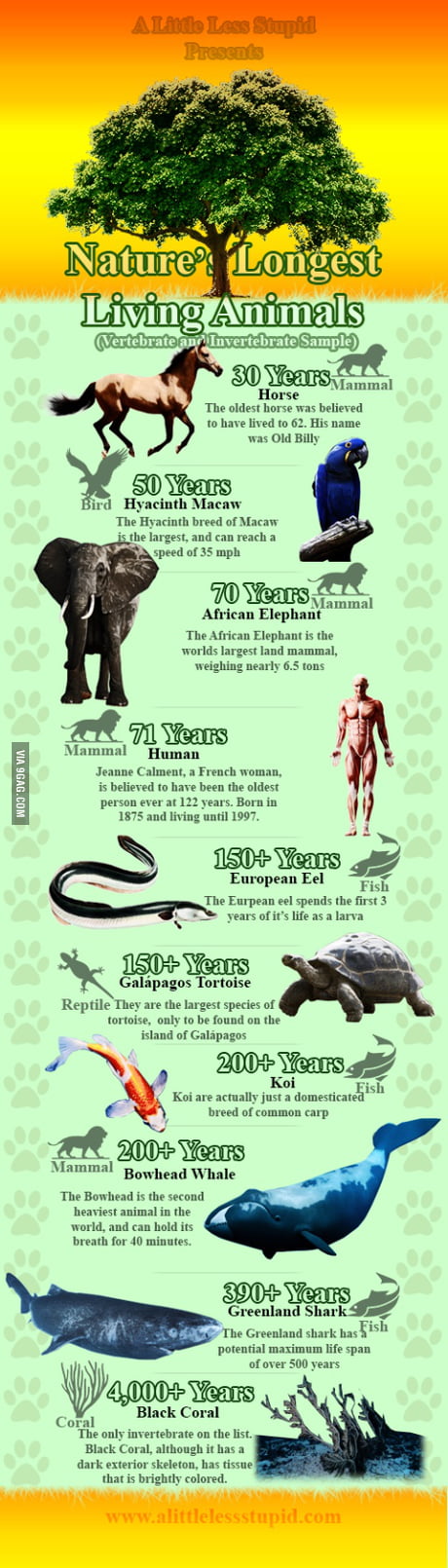 Some of the Longest Living Animals in the World - 9GAG